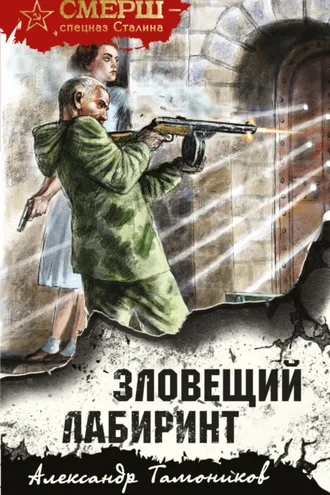 Обложка книги «Зловещий лабиринт»