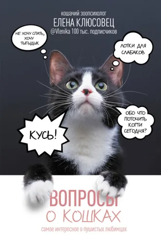 Обложка книги «Вопросы о кошках. Самое интересное о пушистых любимцах»