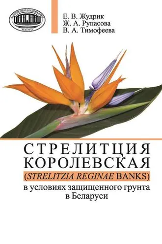 Обложка книги «Стрелитция королевская (Strelitzia reginae Banks) в условиях защищенного грунта в Беларуси»