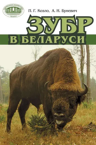 Обложка книги «Зубр в Беларуси»