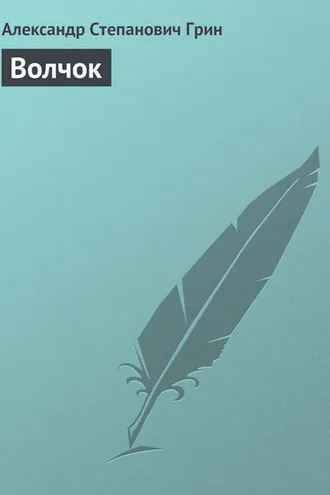 Обложка книги «Волчок»