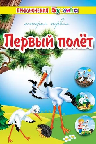 Обложка книги «Приключения Буслика. Первый полёт»