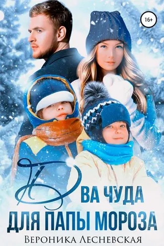 Обложка книги «Два чуда для Папы Мороза»