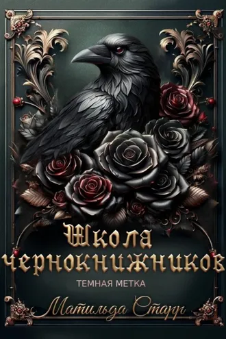 Обложка книги «Школа чернокнижников. Тёмная метка»