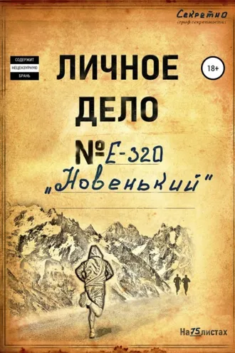 Обложка книги «Новенький»