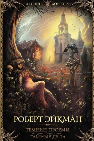 Обложка книги «Темные проемы. Тайные дела»
