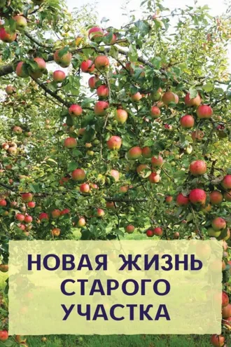 Обложка книги «Новая жизнь старого участка»