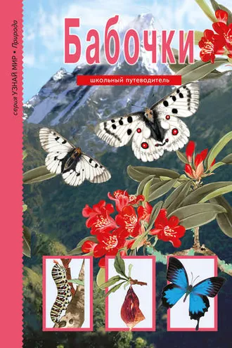 Обложка книги «Бабочки»
