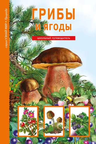 Обложка книги «Грибы и ягоды»