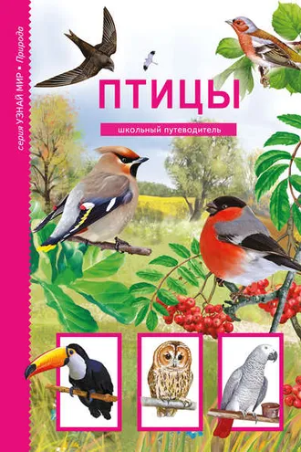Обложка книги «Птицы»