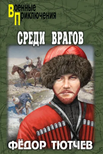 Обложка книги «Среди врагов»