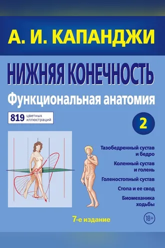 Обложка книги «Нижняя конечность. Функциональная анатомия»