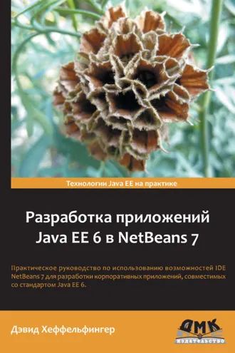 Обложка книги «Разработка приложений Java EE 6 в NetBeans 7»
