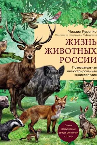 Обложка книги «Жизнь животных России. Познавательная иллюстрированная энциклопедия»