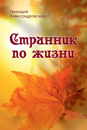 Обложка книги «Странник по жизни (сборник)»