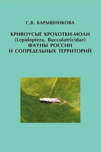 Обложка книги «Кривоусые крохотки-моли (Lepidoptera, Bucculatricidae) фауны России и сопредельных территорий»
