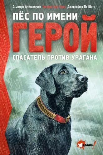 Обложка книги «Пёс по имени Герой. Спасатель против урагана»