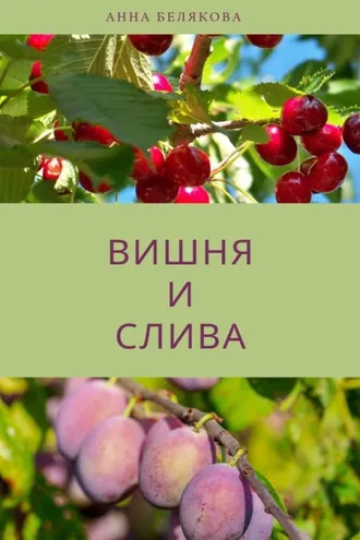 Обложка книги «Вишня и слива»