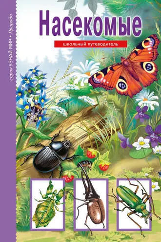Обложка книги «Насекомые»