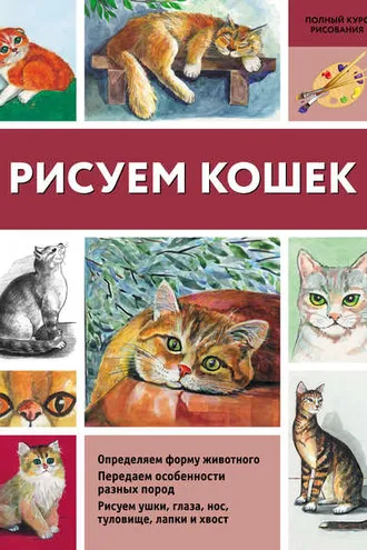 Обложка книги «Рисуем кошек»