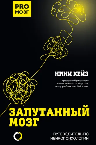 Обложка книги «Запутанный мозг. Путеводитель по нейропсихологии»