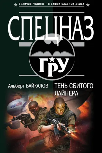 Обложка книги «Тень сбитого лайнера»