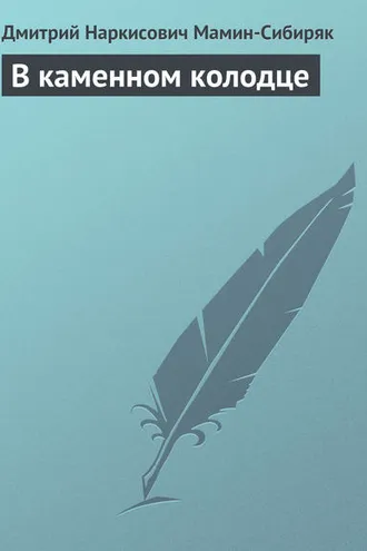 Обложка книги «В каменном колодце»