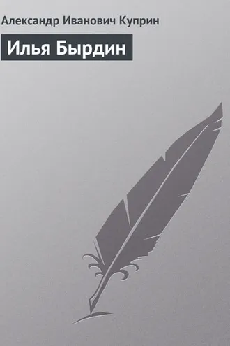 Обложка книги «Илья Бырдин»