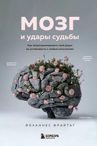 Обложка книги «Мозг и удары судьбы. Как запрограммировать свой разум на устойчивость к любым испытаниям»