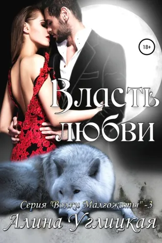 Обложка книги «Власть любви»