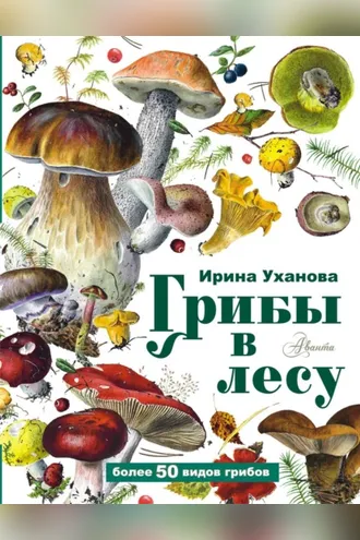 Обложка книги «Грибы в лесу»