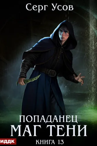 Обложка книги «Попаданец. Маг Тени. Книга 13»