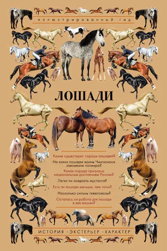 Обложка книги «Лошади. Иллюстрированный гид»