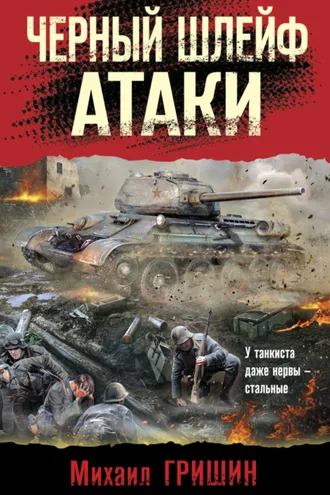 Обложка книги «Черный шлейф атаки»