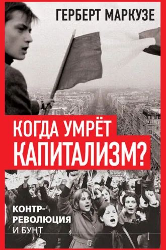 Обложка книги «Когда умрёт капитализм? Контрреволюция и бунт»