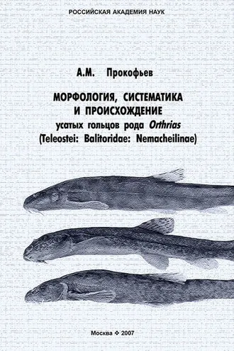 Обложка книги «Морфология, систематика и происхождение усатых гольцов рода Orthrias (Teleostei: Balitoridae: Nemacheilinae)»