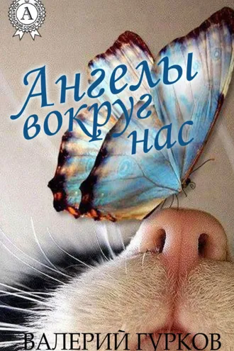 Обложка книги «Ангелы вокруг нас»