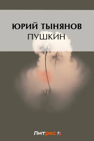 Обложка книги «Пушкин»