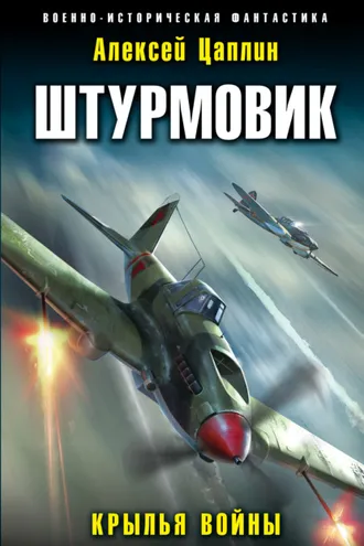 Обложка книги «Штурмовик. Крылья войны»