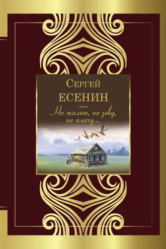 Обложка книги «Не жалею, не зову, не плачу…»