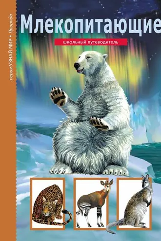 Обложка книги «Млекопитающие»