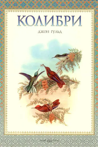 Обложка книги «Колибри»
