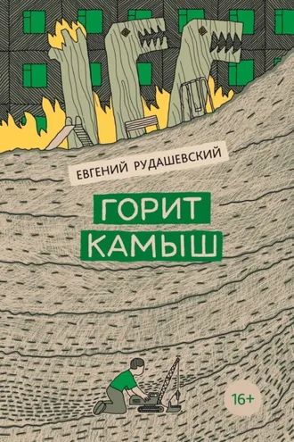 Обложка книги «Горит камыш»