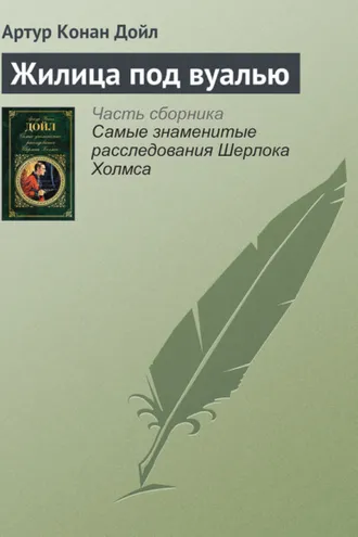 Обложка книги «Жилица под вуалью»