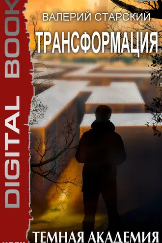 Обложка книги «Темная академия»