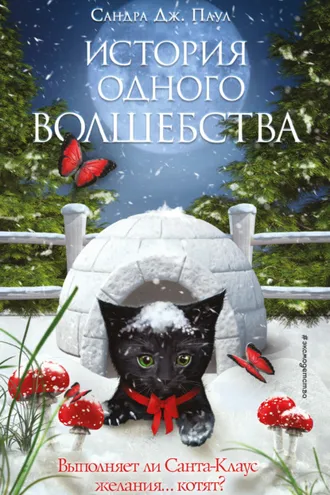 Обложка книги «История одного волшебства»