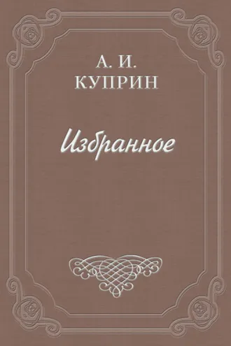 Обложка книги «Рецензия на книгу Н. Н. Брешко-Брешковского «Опереточные тайны»»