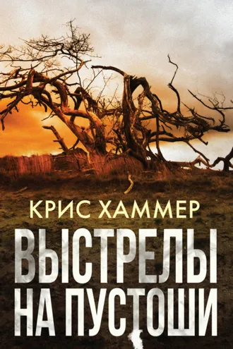 Обложка книги «Выстрелы на пустоши»