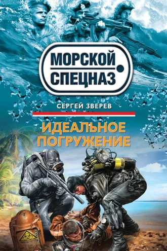 Обложка книги «Идеальное погружение»
