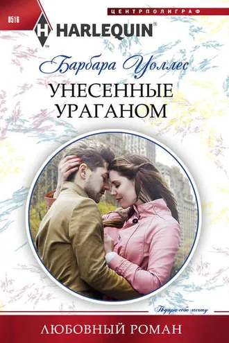 Обложка книги «Унесенные ураганом»